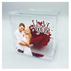 cubo001 - ROSA ETERNA - abibi